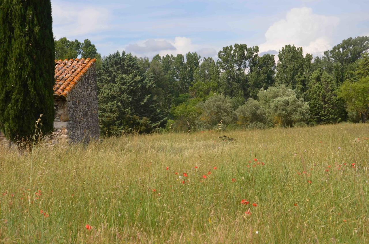 Domaine Shambala - Maison D'Hote En Provence - Piscine Chauffee Velaux Esterno foto